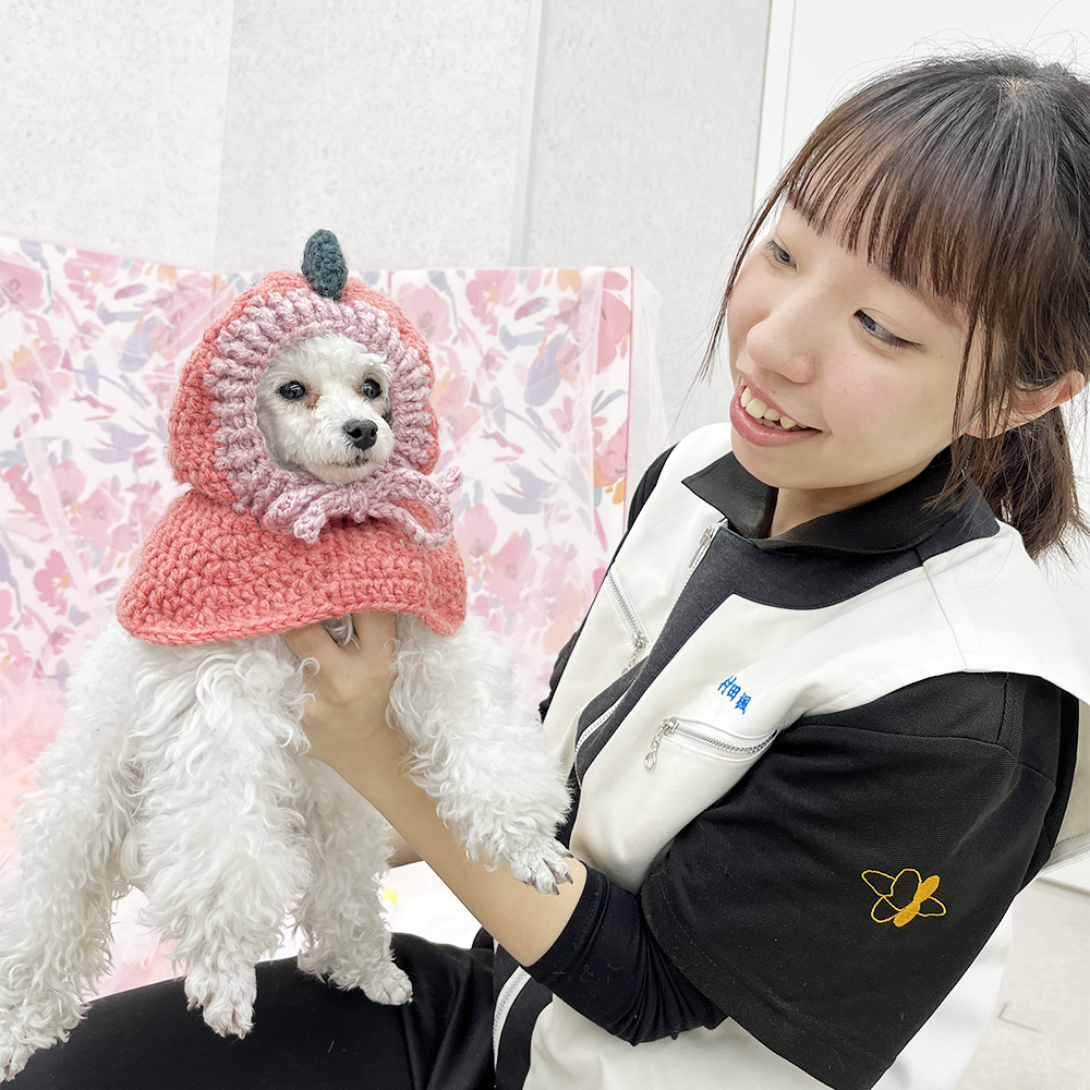 モデル犬の写真撮影会PART②